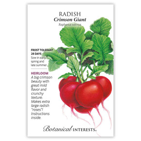 Radish Seeds, Crimson Giant
