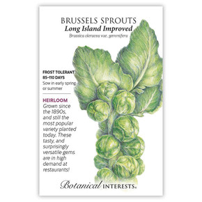 Brussels Sprouts Seeds, Long Island Improved