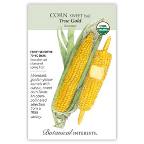 Corn Seeds, True Gold, Organic