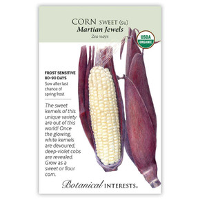 Corn Seeds,  Martian Jewels, Organic