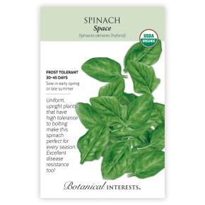 Spinach Seeds, Space, Organic