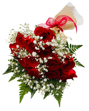 Wrapped Dozen Roses