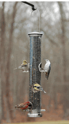 Aspects Large Nickel Quick Clean Seed Feeder
