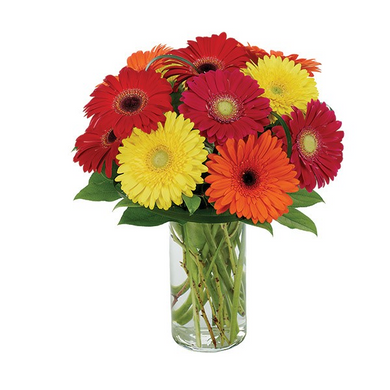 Gerbera Fields Bouquet