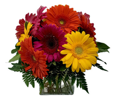 Gerbera Fields bouquet