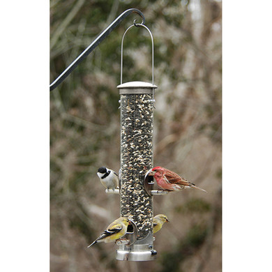 Medium Seed Quick Clean Feeder: Nickel