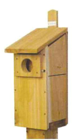 Stovall - Screech Owl/Kestrel House