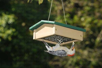 Small Upside Down Suet Feeder