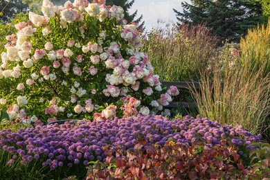 Vanilla & Strawberry Hydrangea Shrub