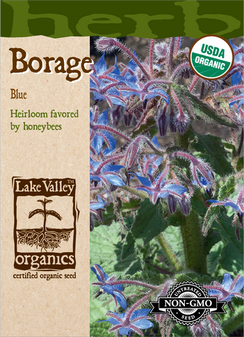 Borage Blue - Organic