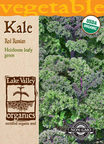 Kale Red Russian Organic