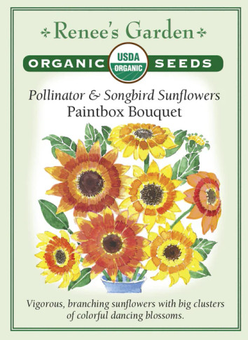 Sunflower Paintbox Bouquet, Organic