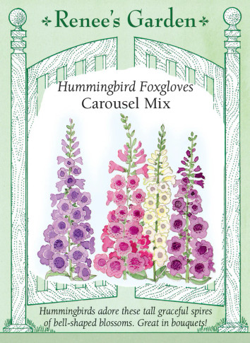 Foxglove, Carousel Mix