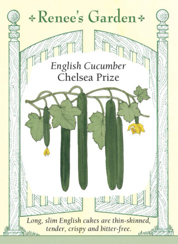 Cucumber Chelsea Prize