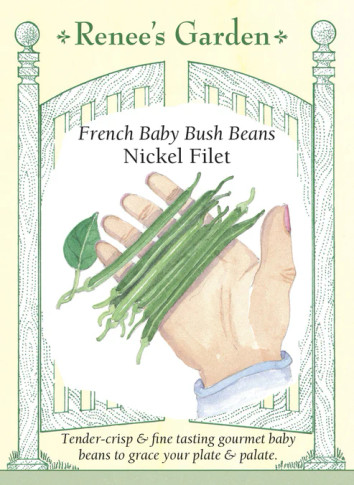 Bean Nickel Filet French Baby Bush