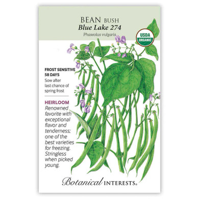 Bean Seeds, Blue Lake 274 Bush Organic