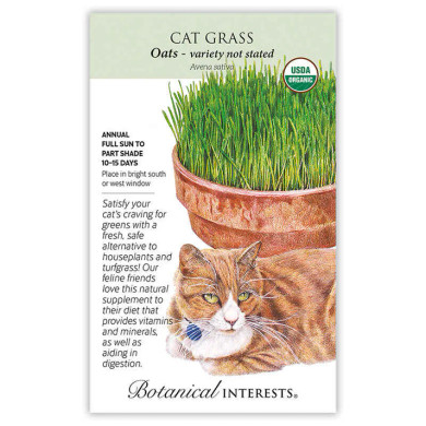 Cat Grass Seeds, Organic