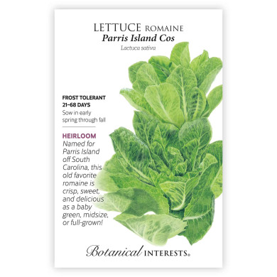 Lettuce Seeds, Parris Island Cos Romaine