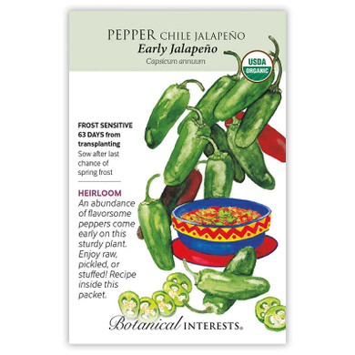 Pepper Seeds,  Early Jalapeno  Chile, Organic