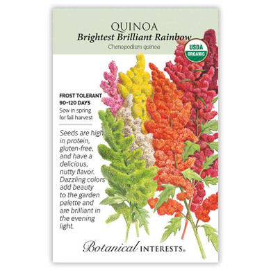 Quinoa Seeds, Brightest Brilliant Rainbow, Organic