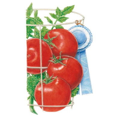 Tomato Seeds, Red Pride Bush