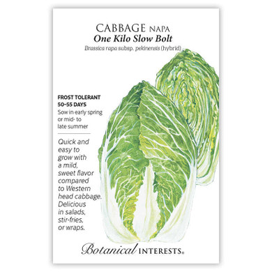 Cabbage Seeds, Napa One Kilo Slow Bolt