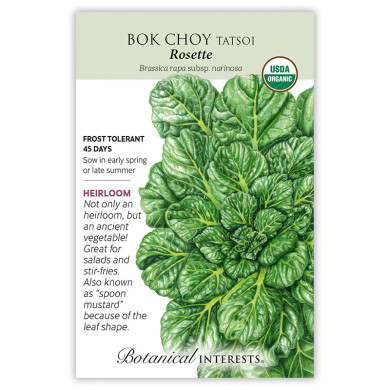 Bok Choy Seeds, Tatsoi Rosette, Organic