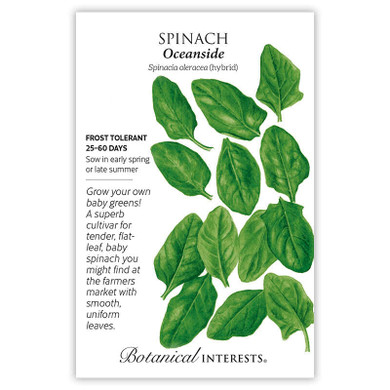 Spinach Seeds,  Oceanside 