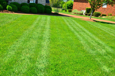 3/21 11:00  CR  A Healthy Lawn Improves the Environment 