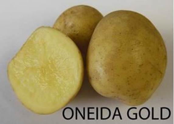 Oneida Gold Potato 5 lb.