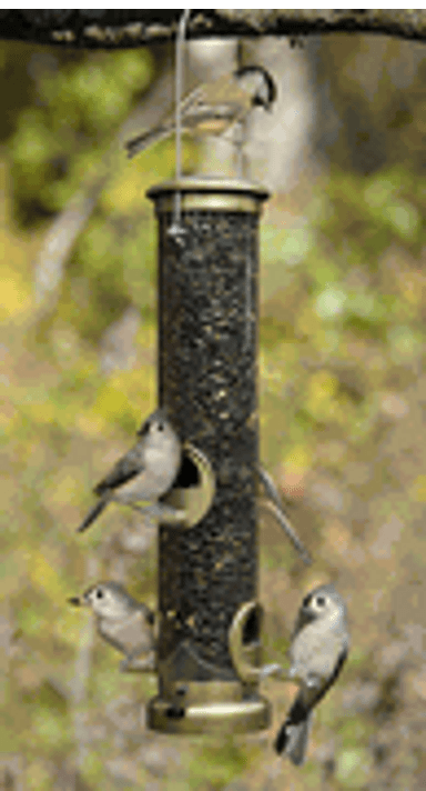 Aspects Medium Antique Brass Quick Clean Bird Feeder