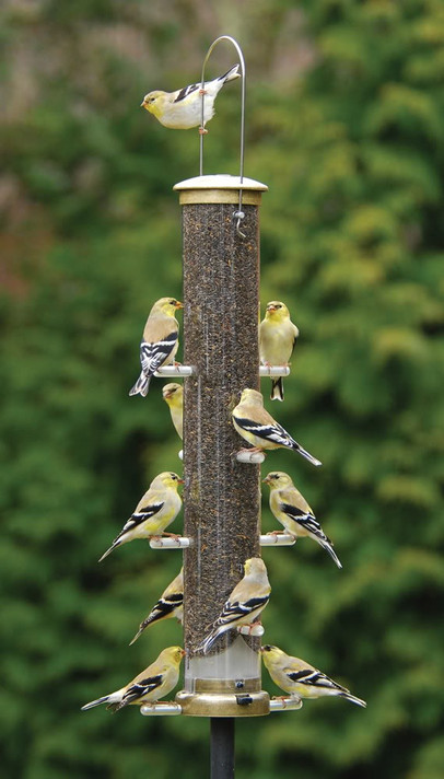 Aspects Large Thistle Antique Brass Quick Clean Bird Feeder