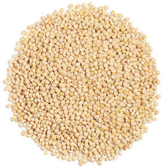 WHITE MILLET 25 LB