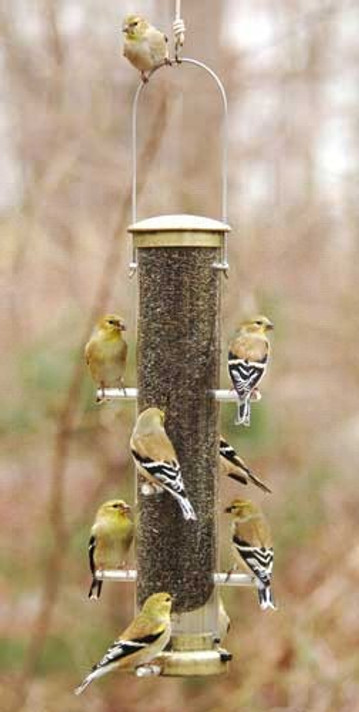 Med Thistle Quick Clean Feeder