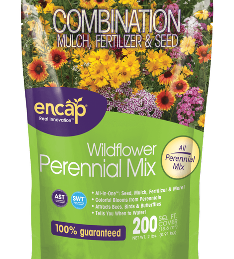 PERENNIAL MIX 200 SQ FT