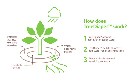 36" Tree Diaper Round