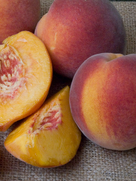 Red Haven Standard Peach Tree Red Haven Standard Peach Tree