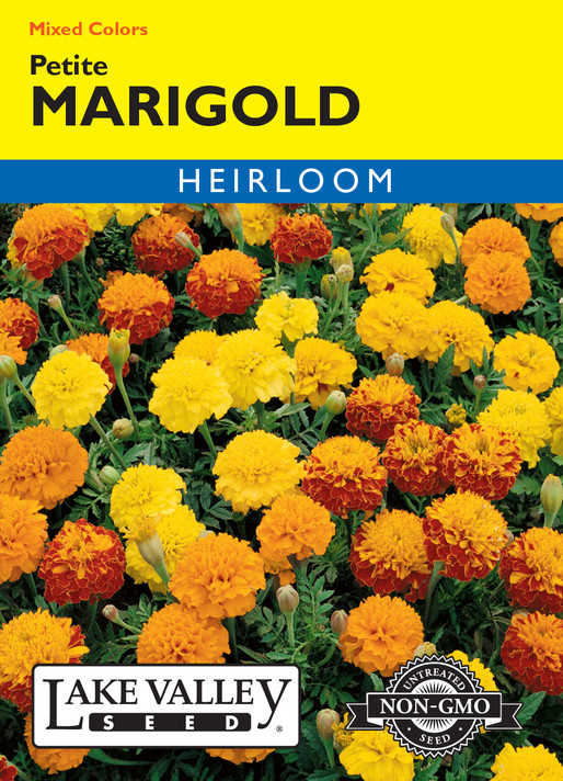 Marigold Petite Mix