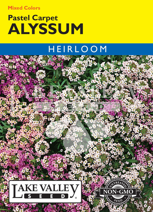 Alyssum Pastel Carpet