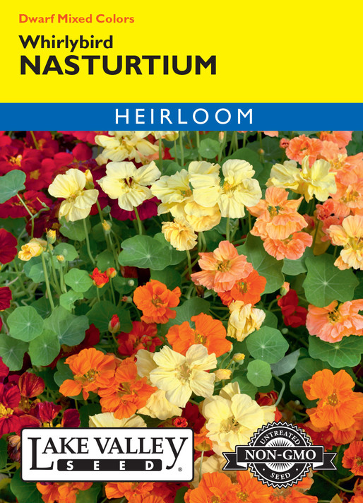 Nasturtium Whirlybird