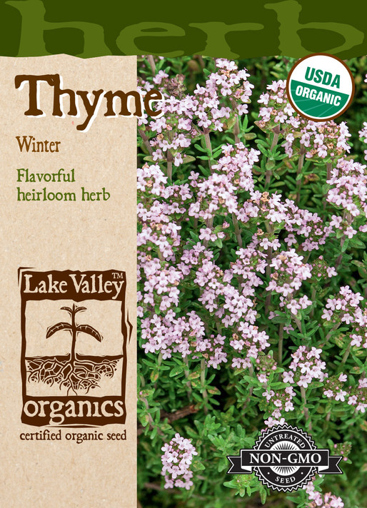 Thyme Winter Organic
