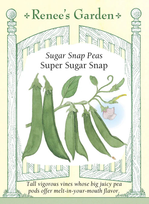 Pea Super Sugar Snap