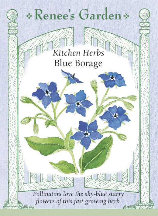 Borage Blue