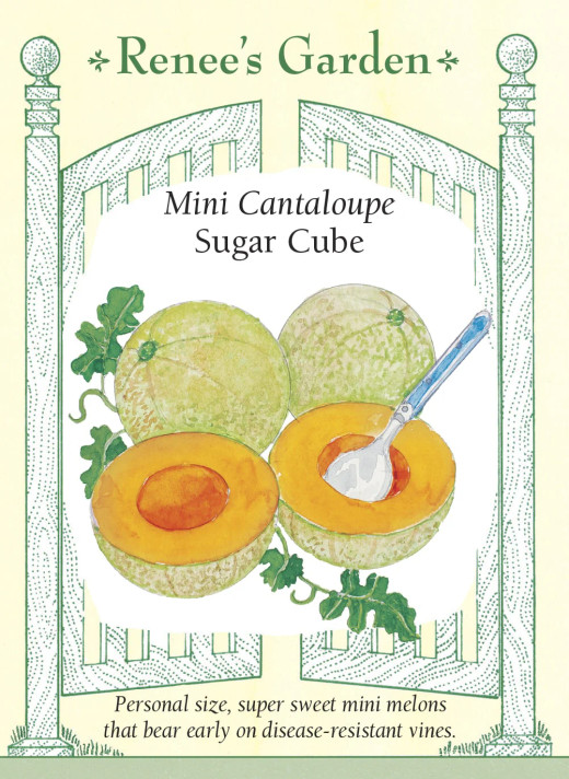 Cantaloupe Mini Sugar Cube