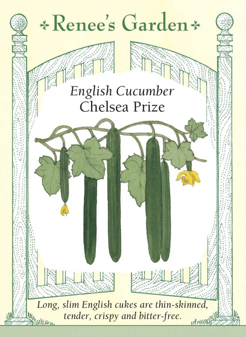 Cucumber Chelsea Prize