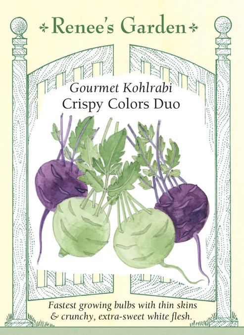 Kohlrabi Crispy Colors Duo