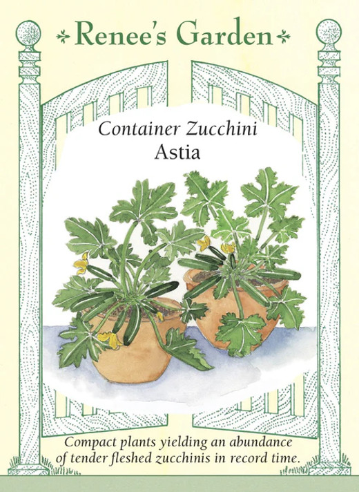 Zucchini Astia Container