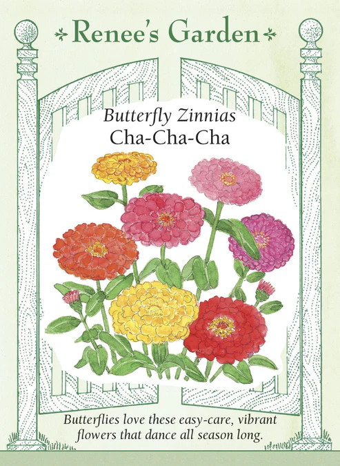 Zinnia Cha-Cha-Cha Mix