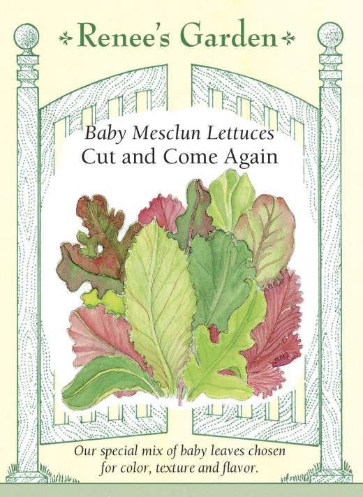 Mesclun, Baby Cut and Come Again