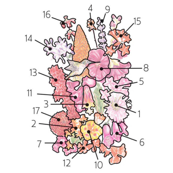 Hummingbird Haven Mix